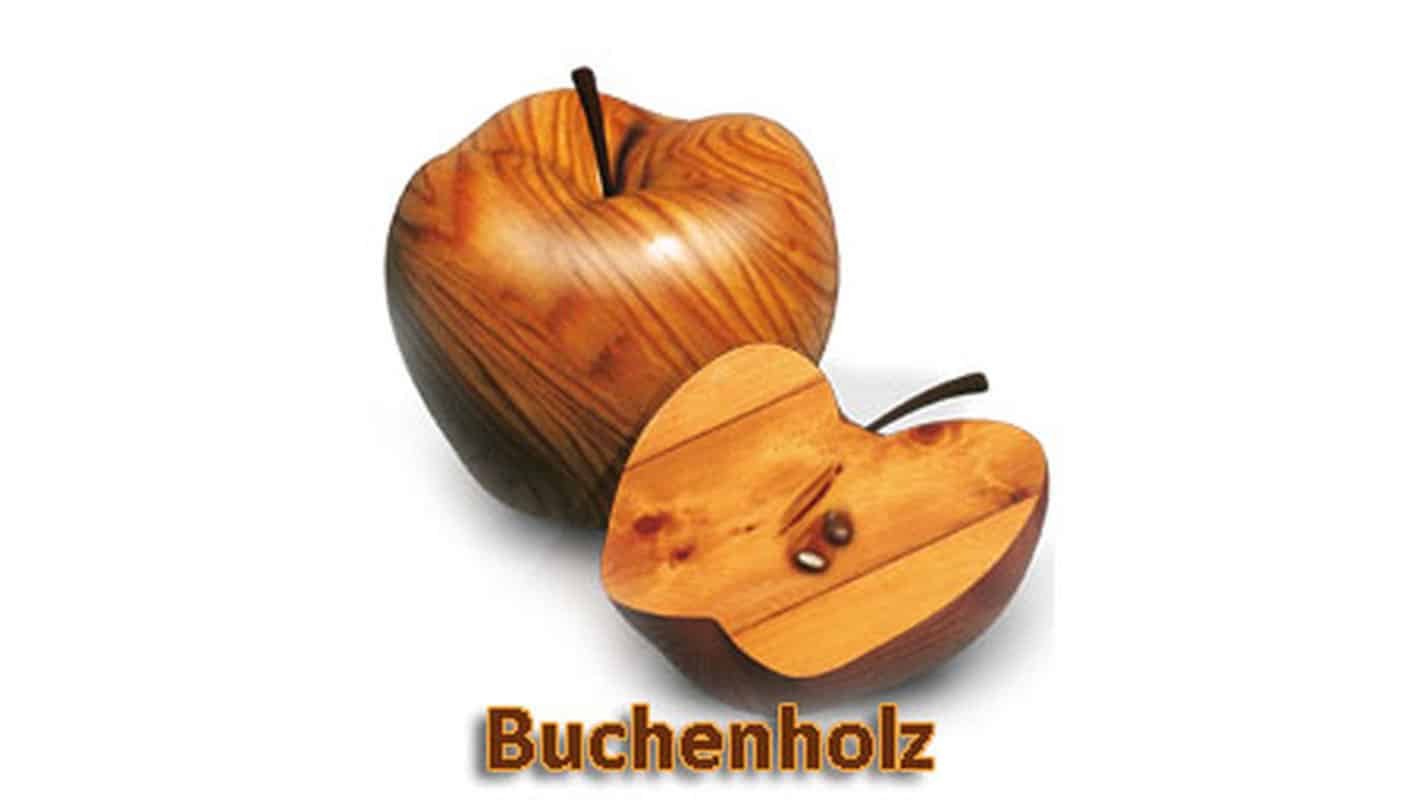 Buchenholz