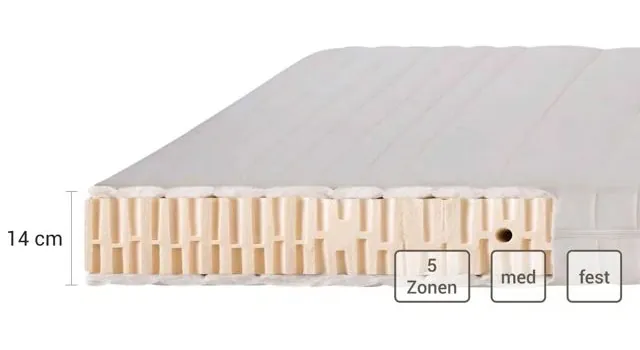 ERGO BASIC Naturlatexmatratze im Querschnitt